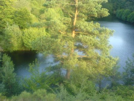 barage de chambo